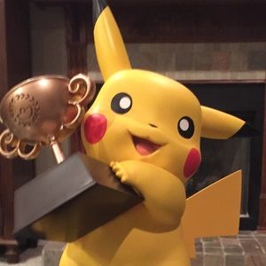 Meet your Posher, Roan